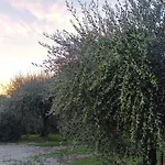 Guest house La Pietruzza 3*