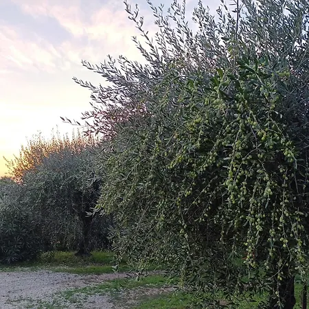 بيت ضيافة La Pietruzza 3*