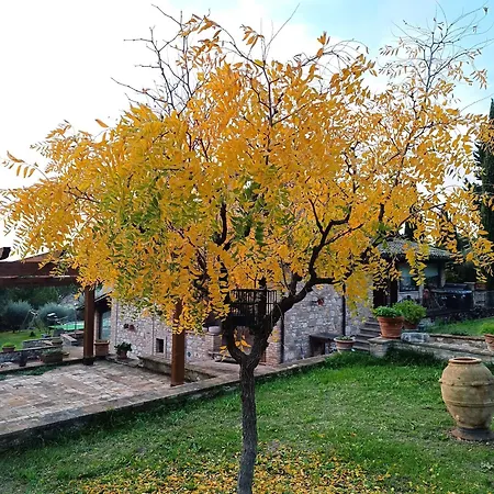 Konukevi La Pietruzza 3*