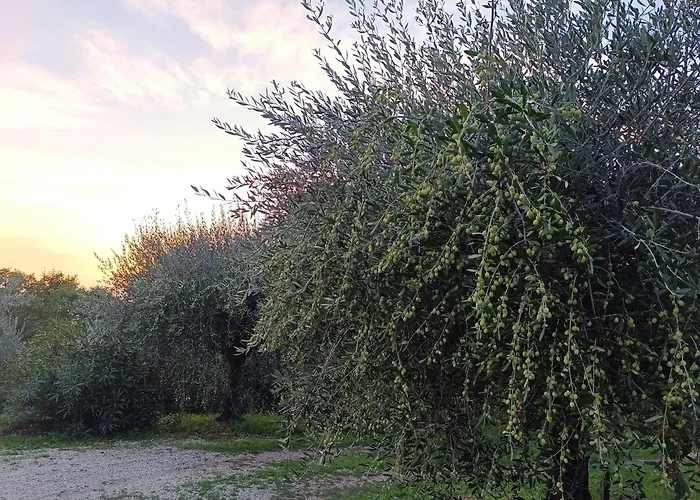 بيت ضيافة La Pietruzza 3*