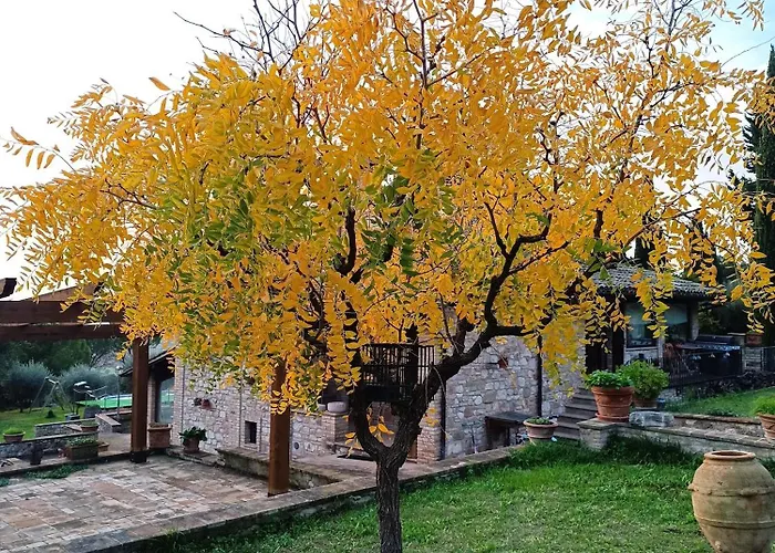 بيت ضيافة La Pietruzza 3*